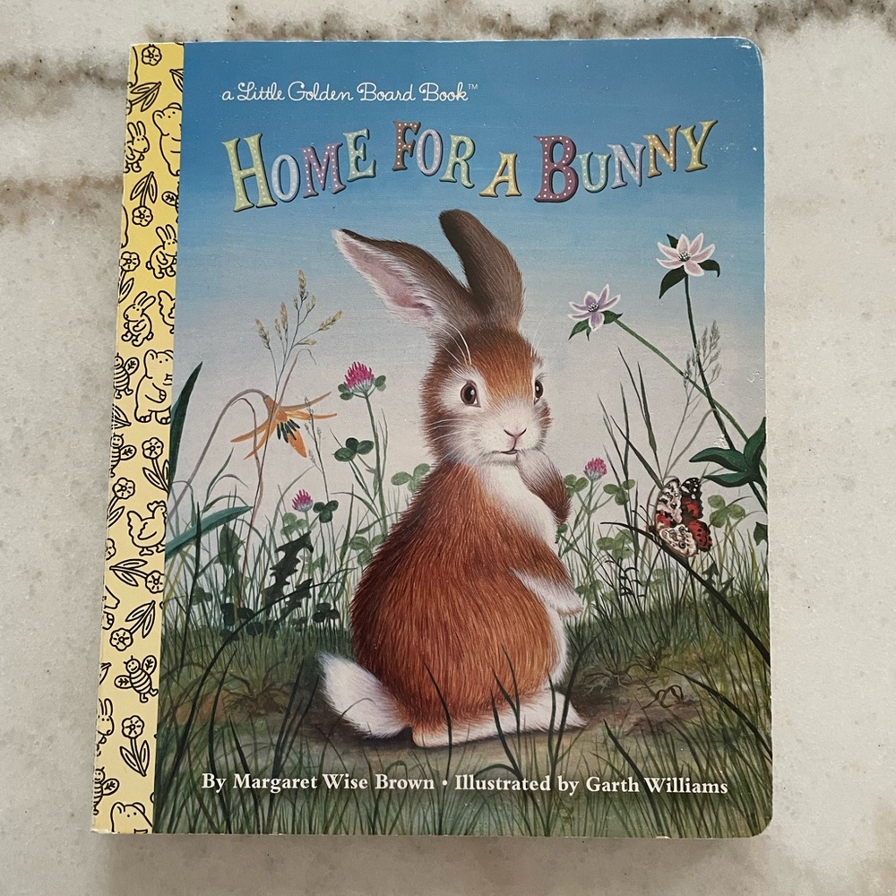 🩵5/$20 — Home for a Bunny Board Book